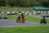 Evening Low_Mid Group Yellow Bikes